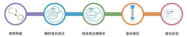 图片31.png